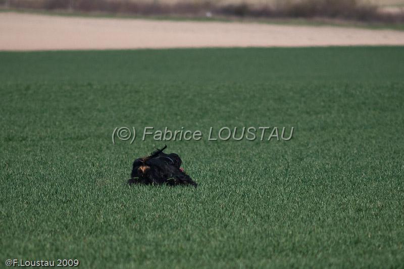 20090330-FLS_6675.jpg - salon agriculture 2009