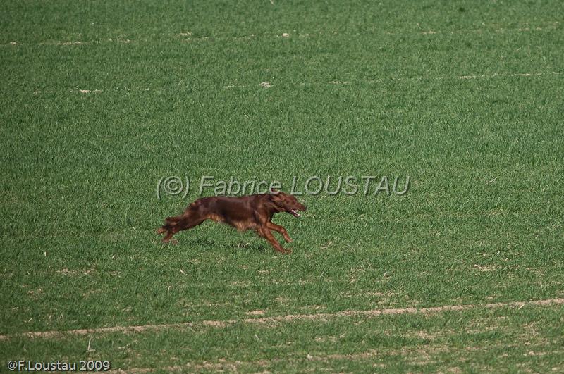 20090330-FLS_6699.jpg