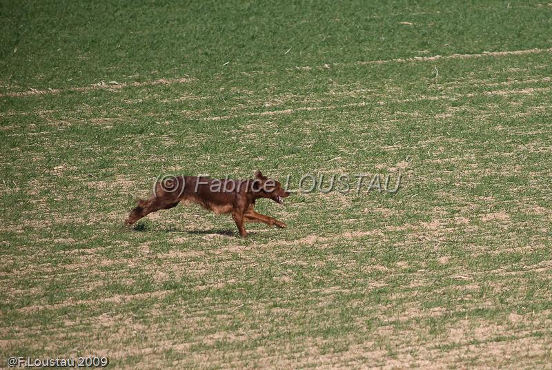 20090330-FLS_6702.jpg