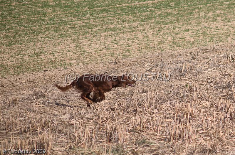 20090330-FLS_6707.jpg