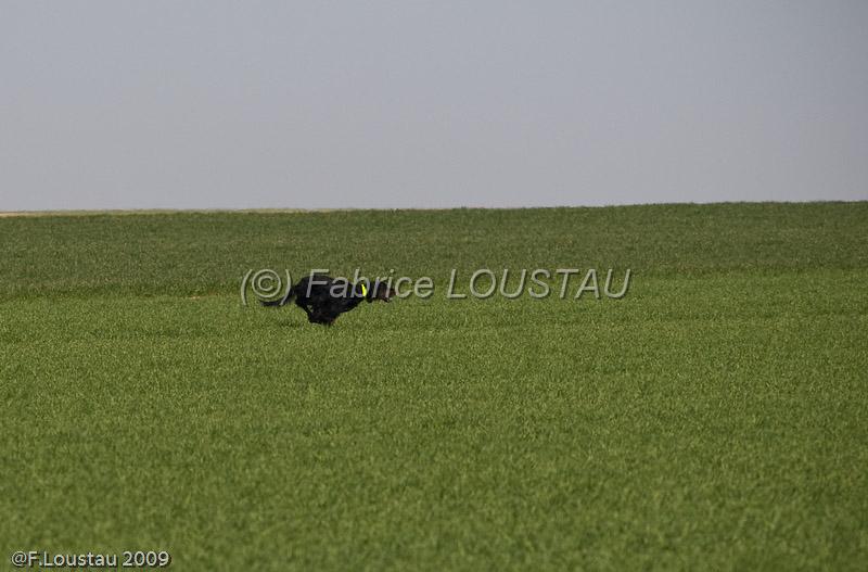 20090330-FLS_6766.jpg