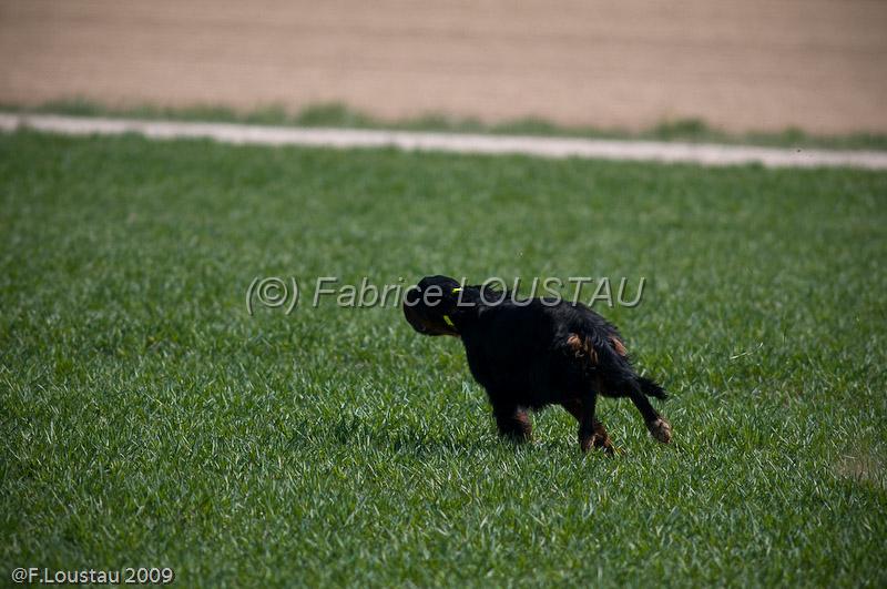 20090330-FLS_6775.jpg