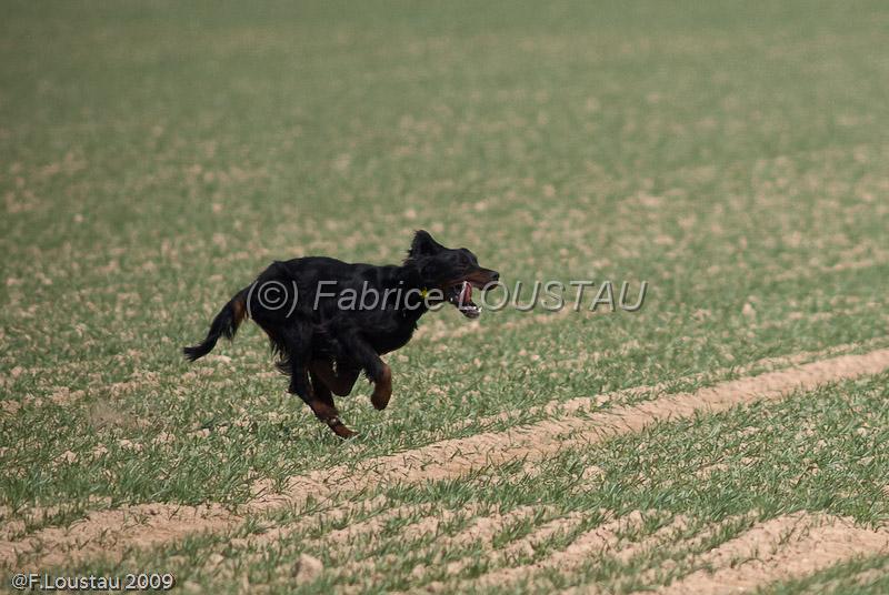 20090330-FLS_6853.jpg