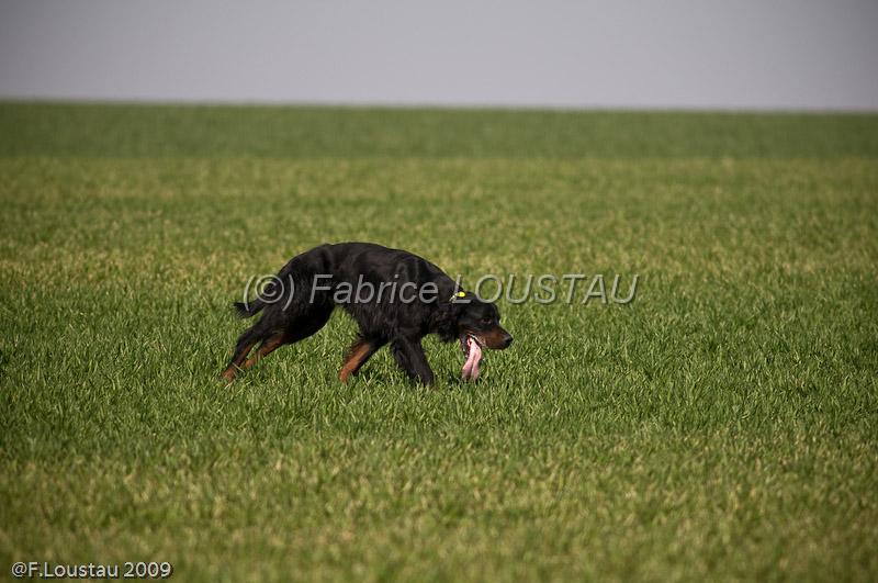20090330-FLS_6870.jpg