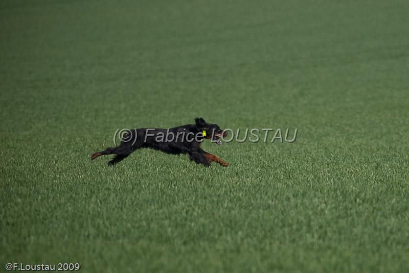 20090330-FLS_6909.jpg