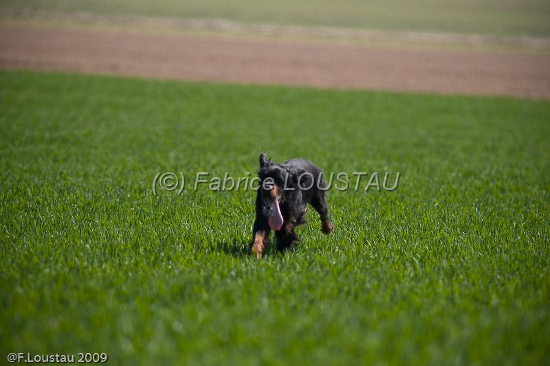 20090330-FLS_6914.jpg