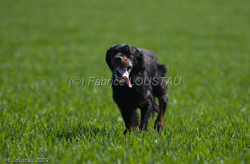 20090330-FLS_6917.jpg