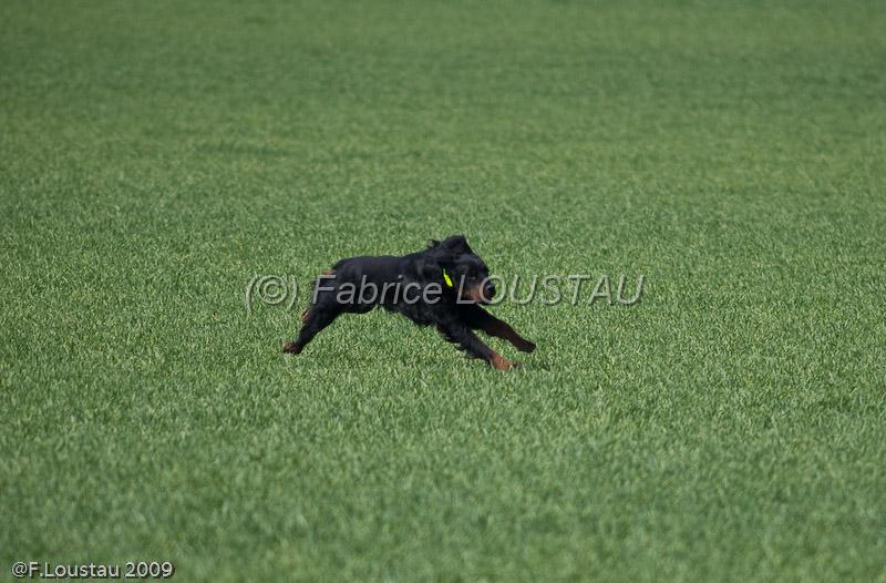 20090330-FLS_6919.jpg