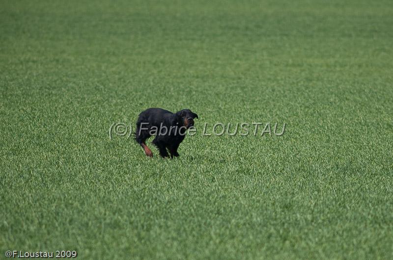 20090330-FLS_6920.jpg