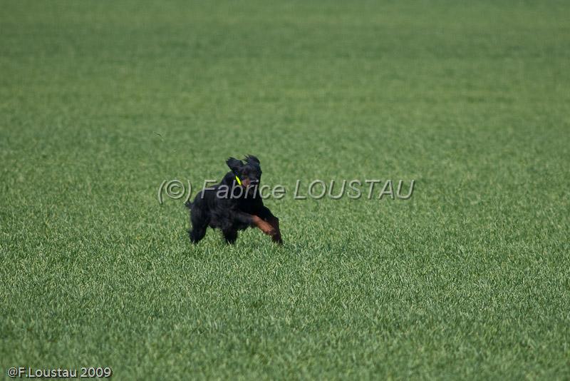 20090330-FLS_6921.jpg