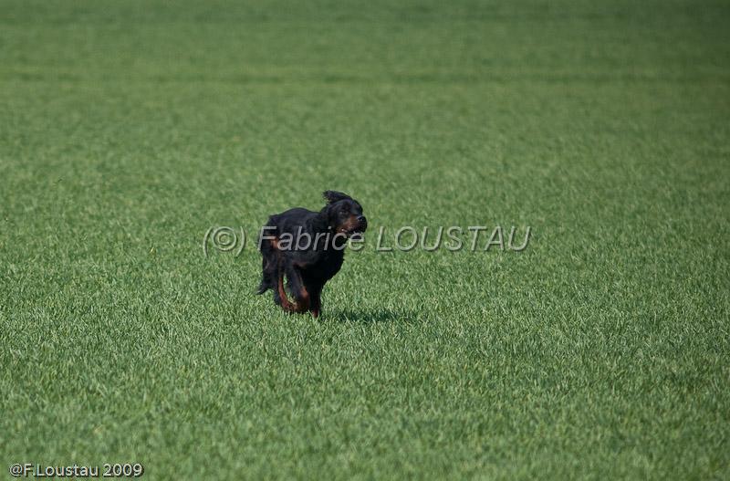 20090330-FLS_6924.jpg