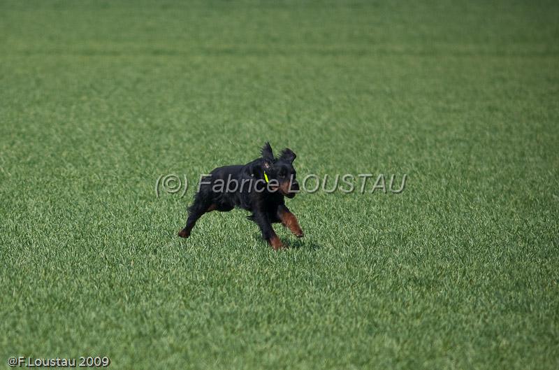 20090330-FLS_6925.jpg