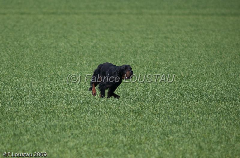 20090330-FLS_6926.jpg