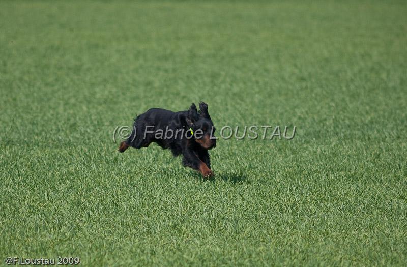 20090330-FLS_6927.jpg