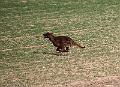 20090330-FLS_6711