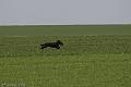 20090330-FLS_6738