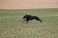 20090330-FLS_6828
