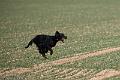 20090330-FLS_6853