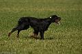 20090330-FLS_6880