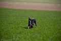 20090330-FLS_6914