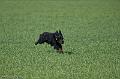 20090330-FLS_6927