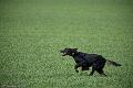 20090330-FLS_6937