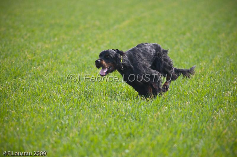 20090401-FLS_7038.jpg - salon agriculture 2009