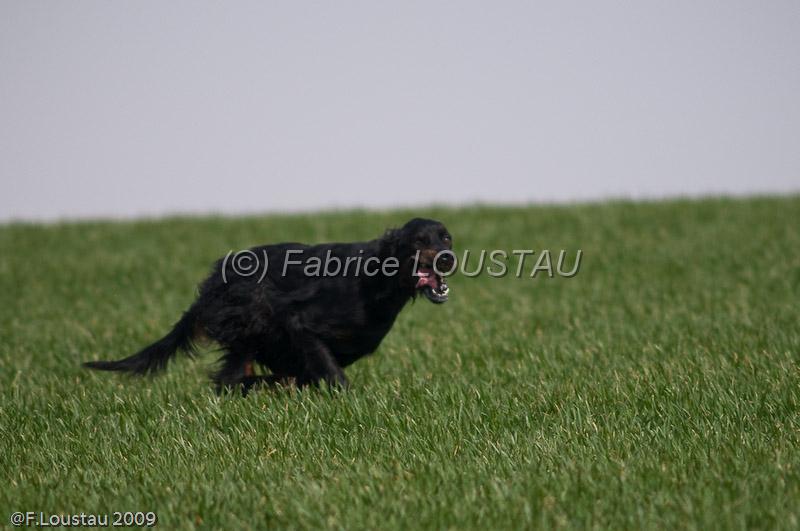 20090401-FLS_7067.jpg - salon agriculture 2009