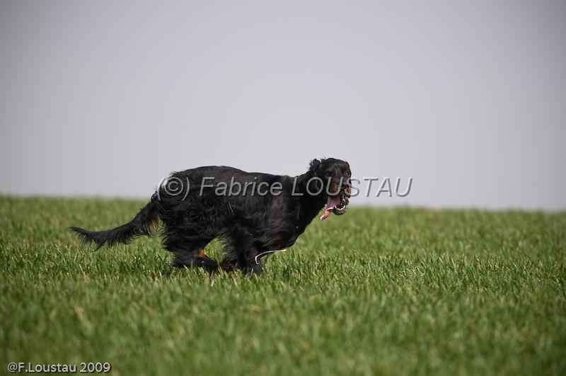 20090401-FLS_7102.jpg - salon agriculture 2009