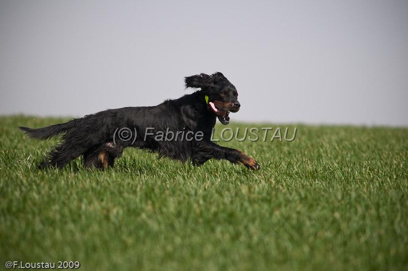20090401-FLS_7103.jpg - salon agriculture 2009
