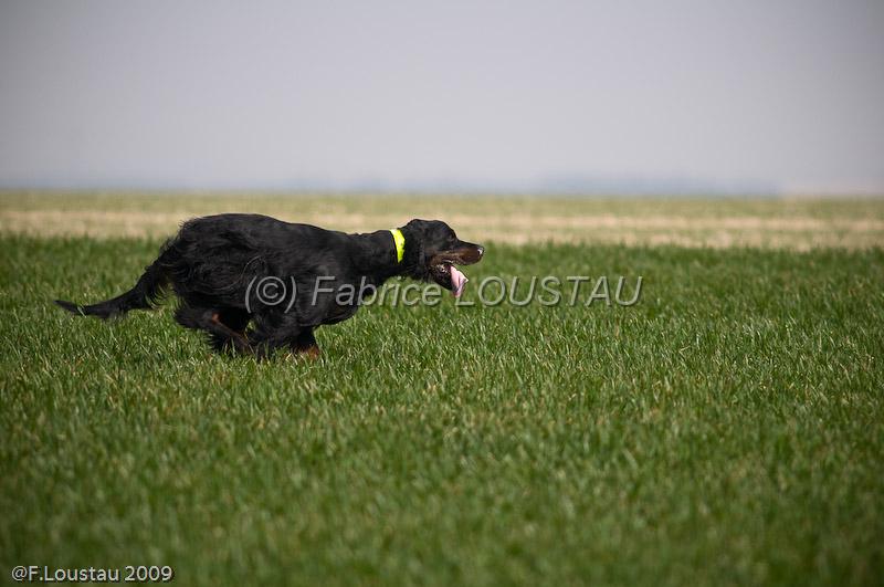 20090401-FLS_7121.jpg - salon agriculture 2009