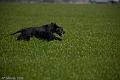 20090401-FLS_7072