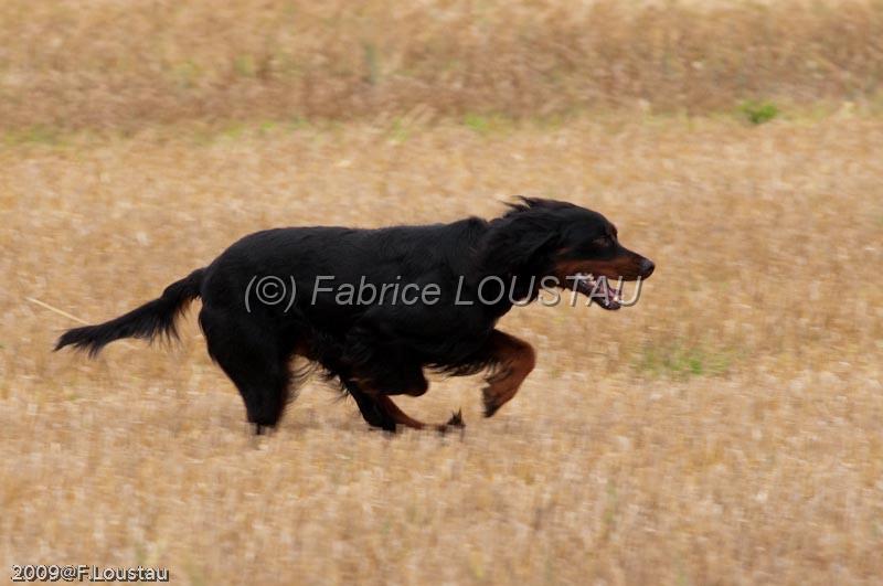 FLS_9618.jpg - Field Initiation Adhoc dit Athos de la petite querriere