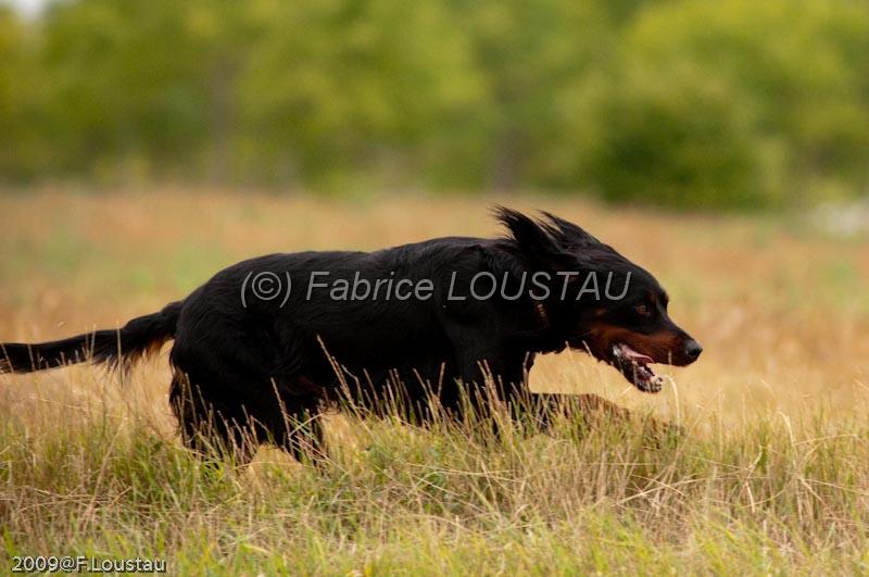FLS_9630.jpg - Field Initiation Adhoc dit Athos de la petite querriere