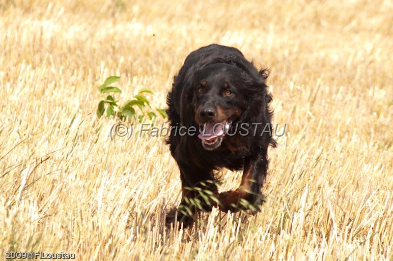 FLS_9670.jpg - Field Initiation Atlas
