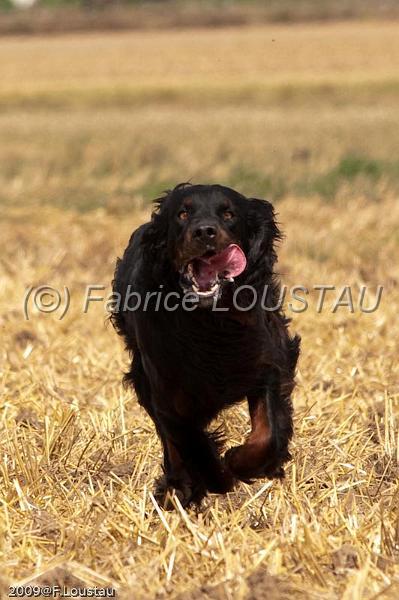FLS_9671.jpg - Field Initiation Atlas