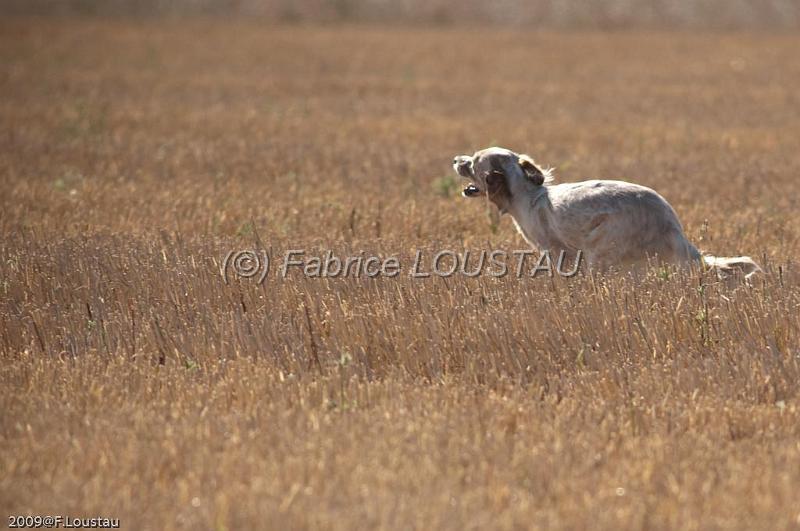 FLS_0325.jpg - Diksy du Mas des Vernets