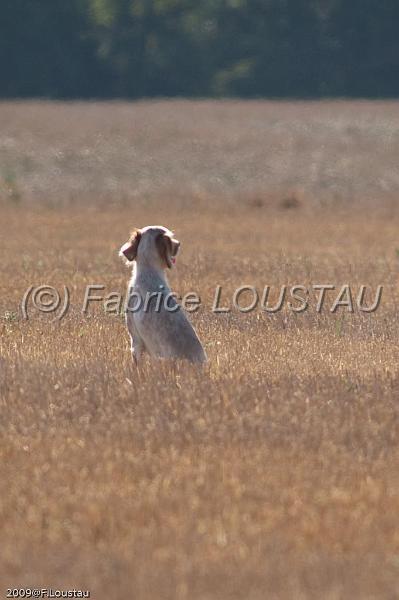 FLS_0390.jpg - Diksy du Mas des Vernets
