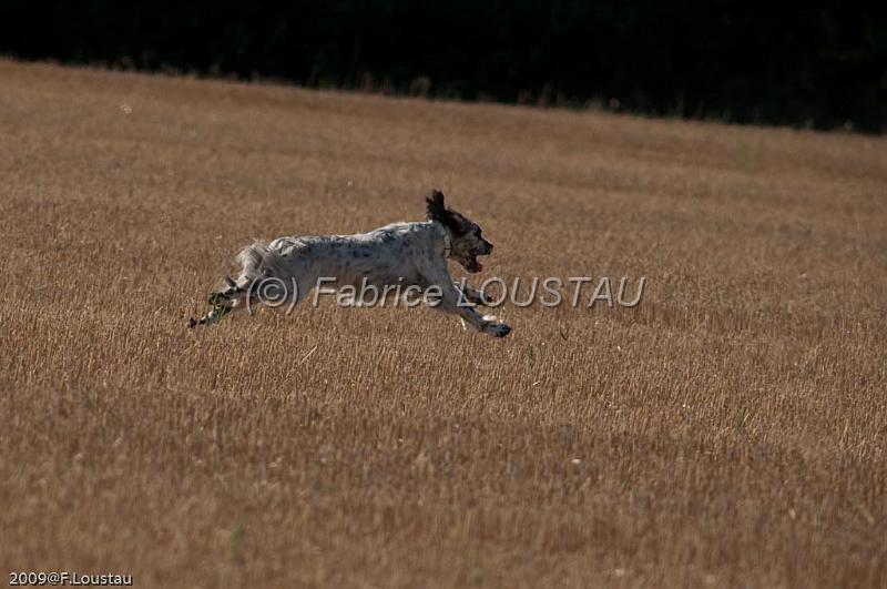 FLS_0507.jpg - Cash du Milorbe de Bouise