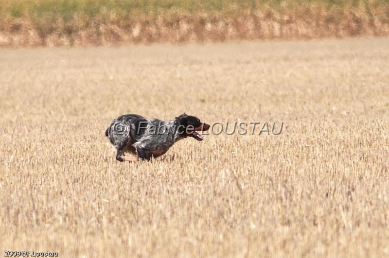 20090830-FLS_1531.jpg - Dixy de la Cadotte