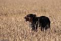 20090830-FLS_1263