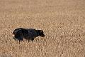 20090830-FLS_1340