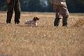 20090830-FLS_1483