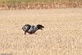 20090830-FLS_1531