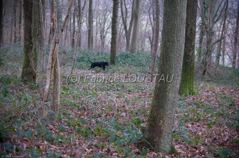 20090118-FLS_4198.jpg