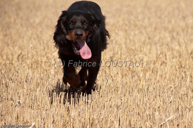 20090830-FLS_1441.jpg - Alpha des verdiaux