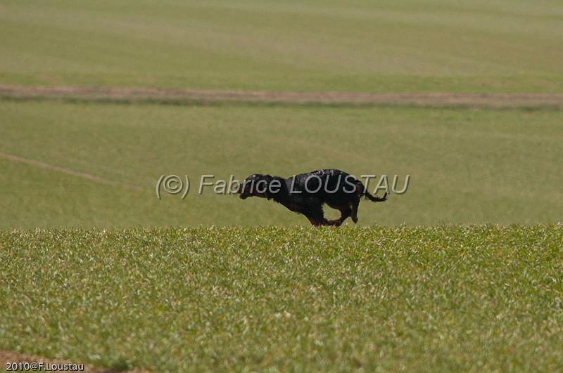 20100317-FLS_6032.jpg