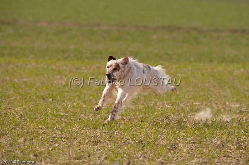 20100317-FLS_6292.jpg