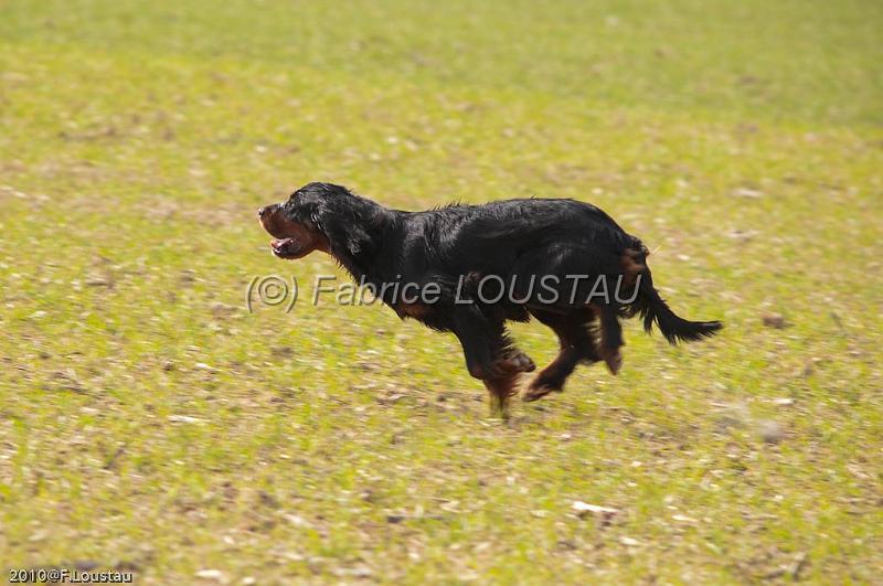 20100317-FLS_6314.jpg