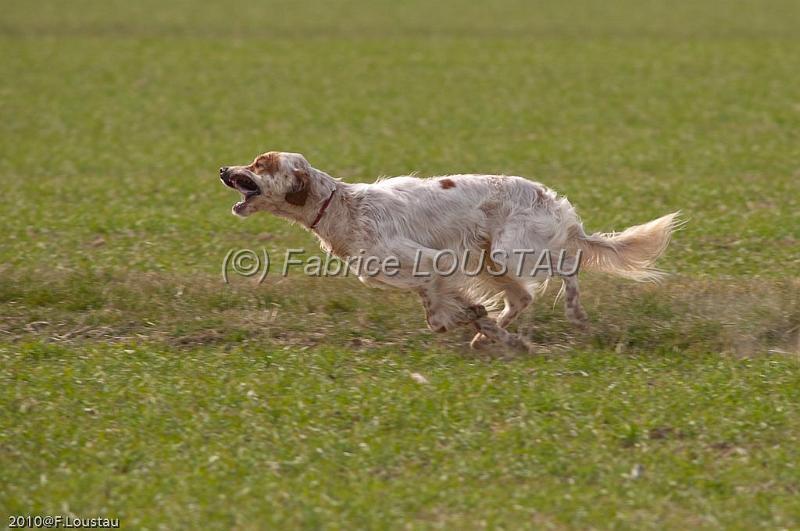 20100317-FLS_6363.jpg